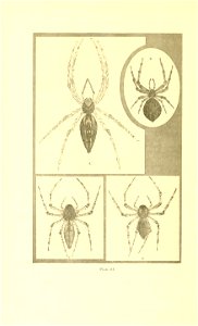 n181_w1150