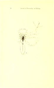 n93_w1150
