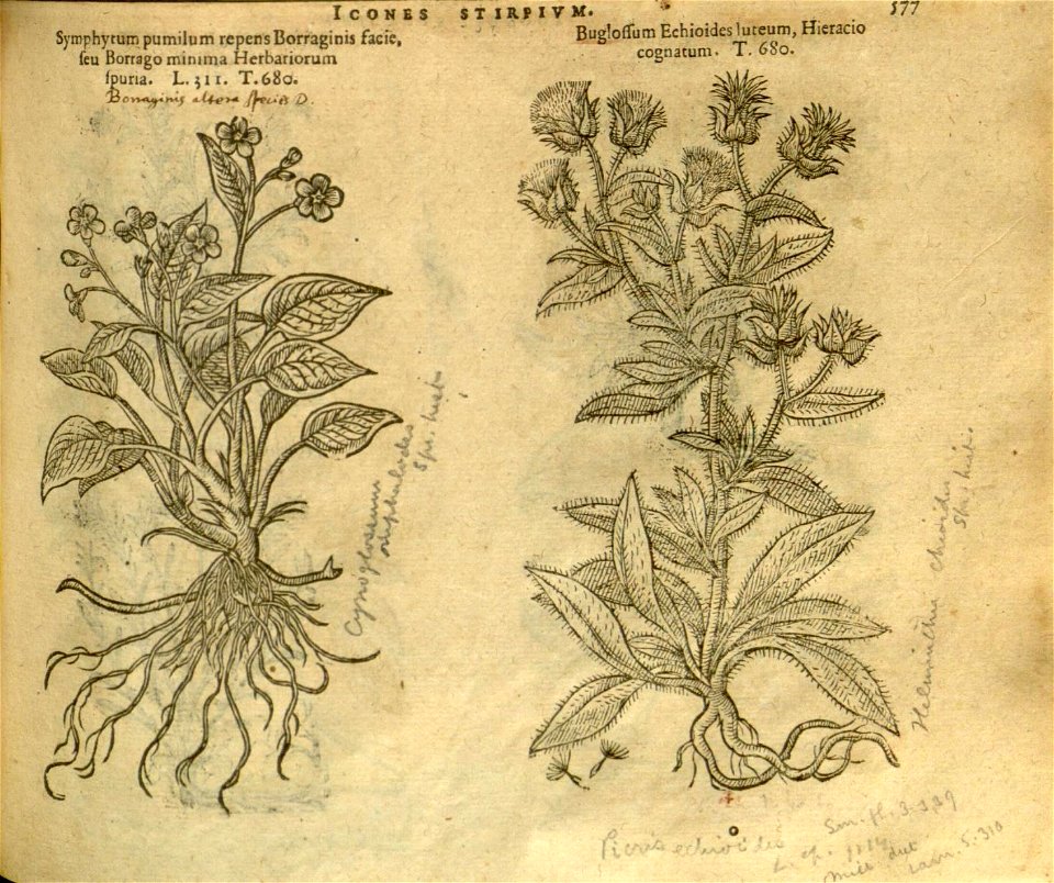 n583_w1150