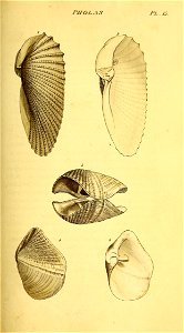 n196_w1150