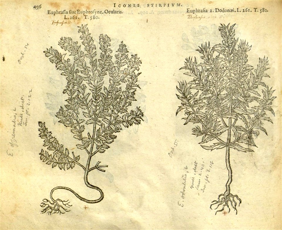 n502_w1150