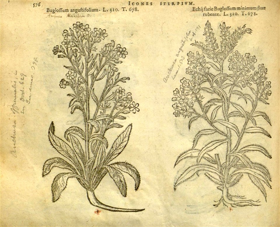 n582_w1150