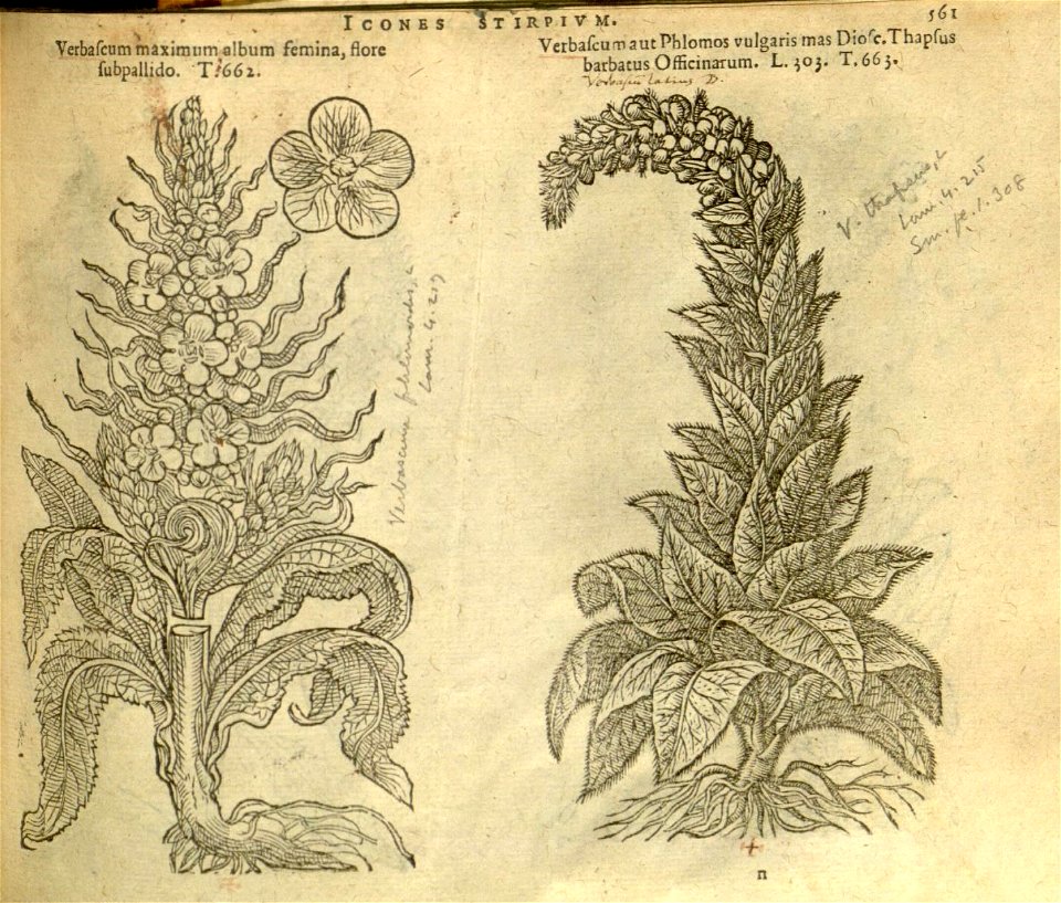 n567_w1150