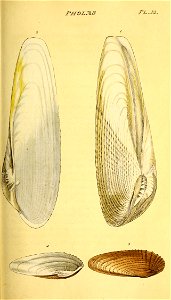 n192_w1150