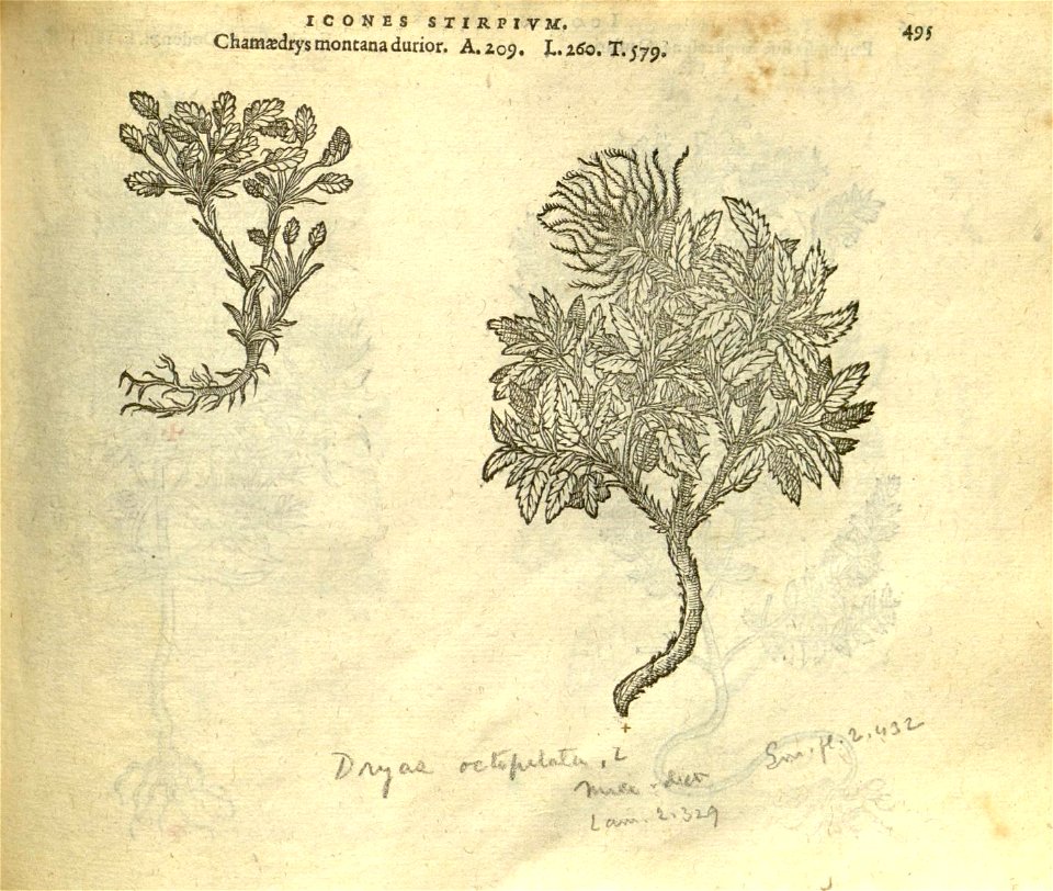 n501_w1150