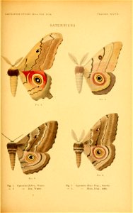 n138_w1150