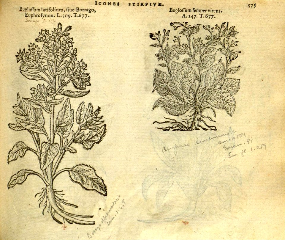 n581_w1150