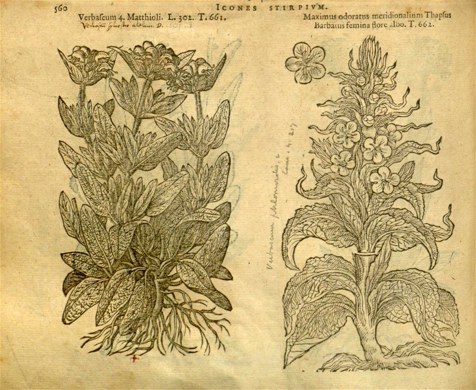 n566_w1150