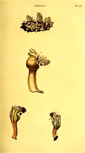 n178_w1150