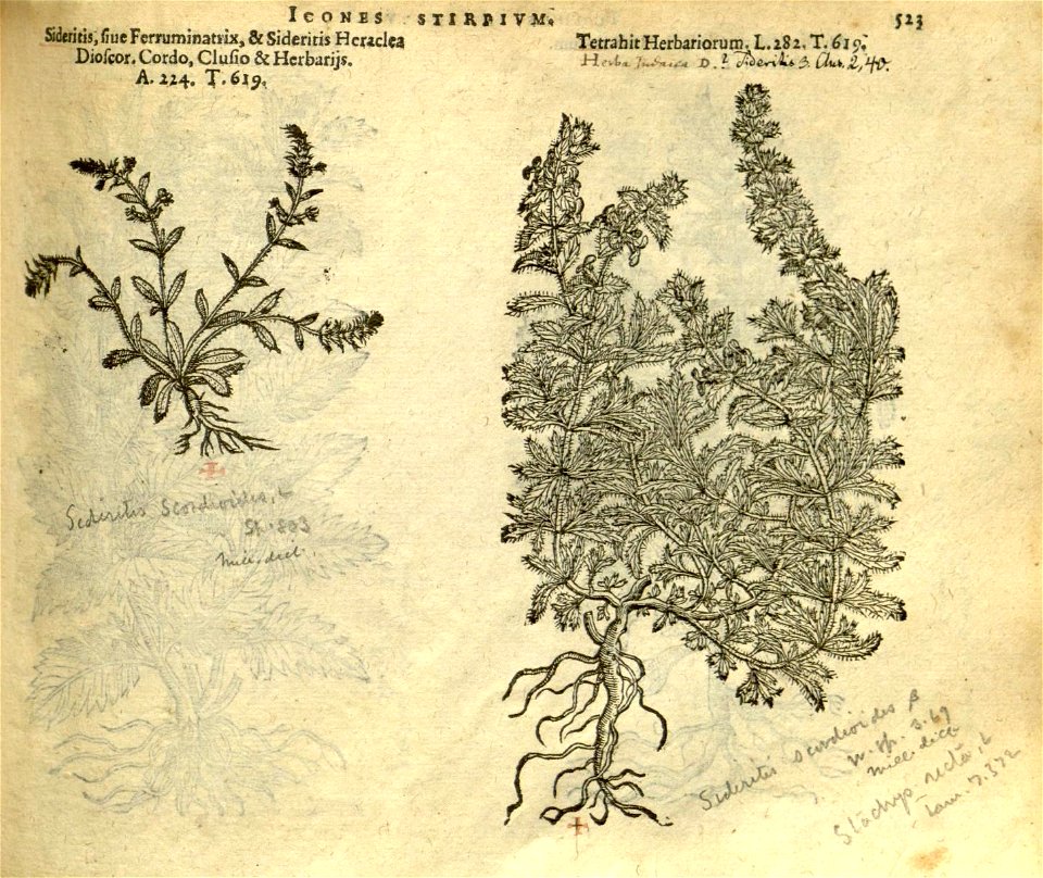 n529_w1150