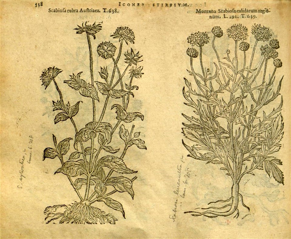 n544_w1150
