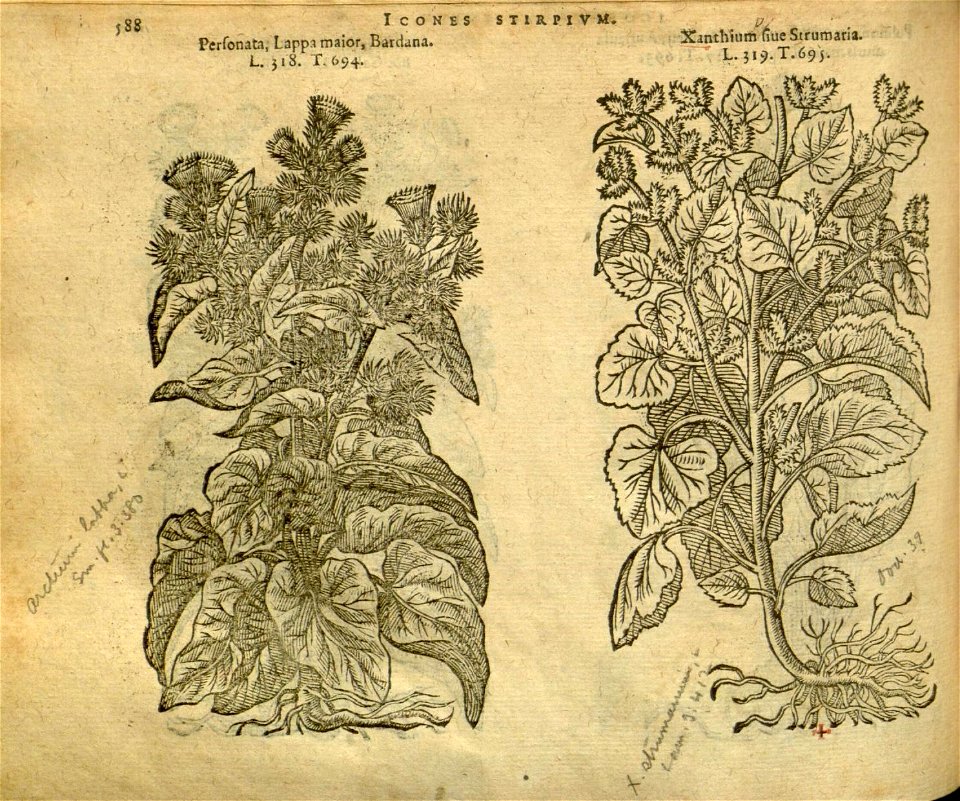 n594_w1150