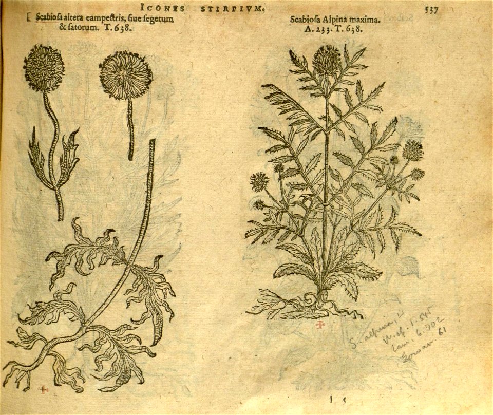 n543_w1150