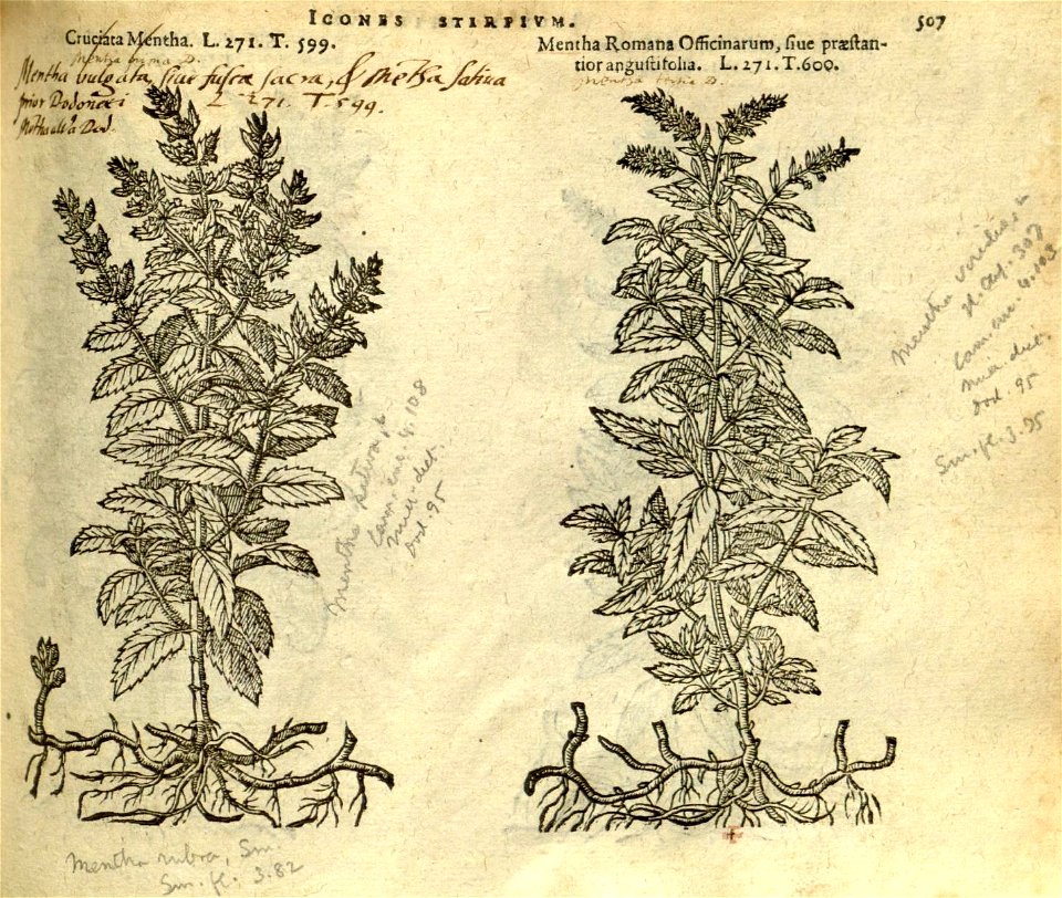 n513_w1150