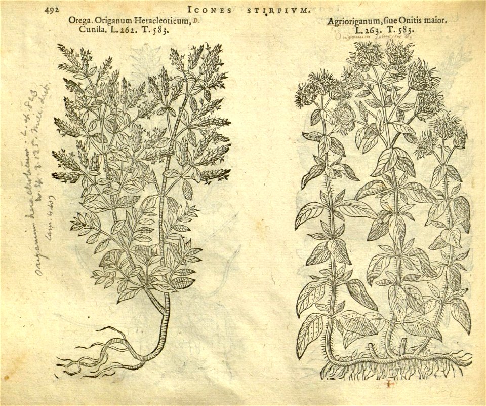 n498_w1150