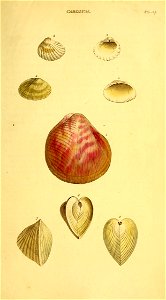 n434_w1150