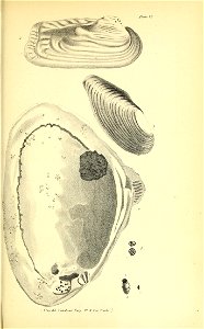 n412_w1150