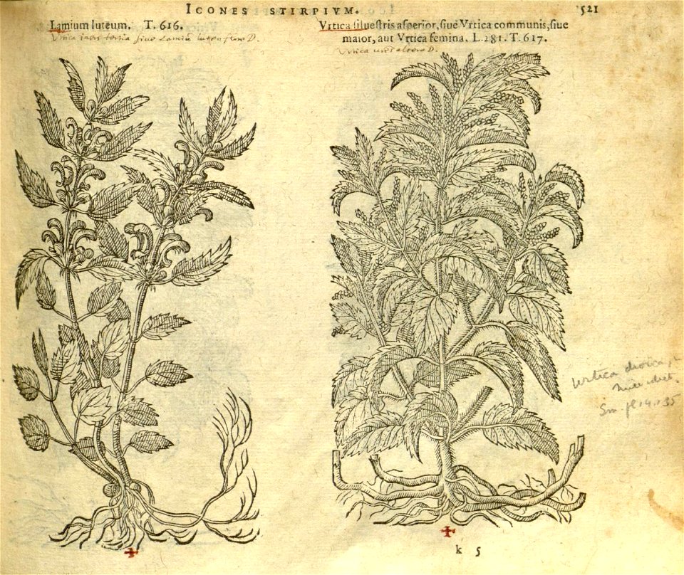 n527_w1150