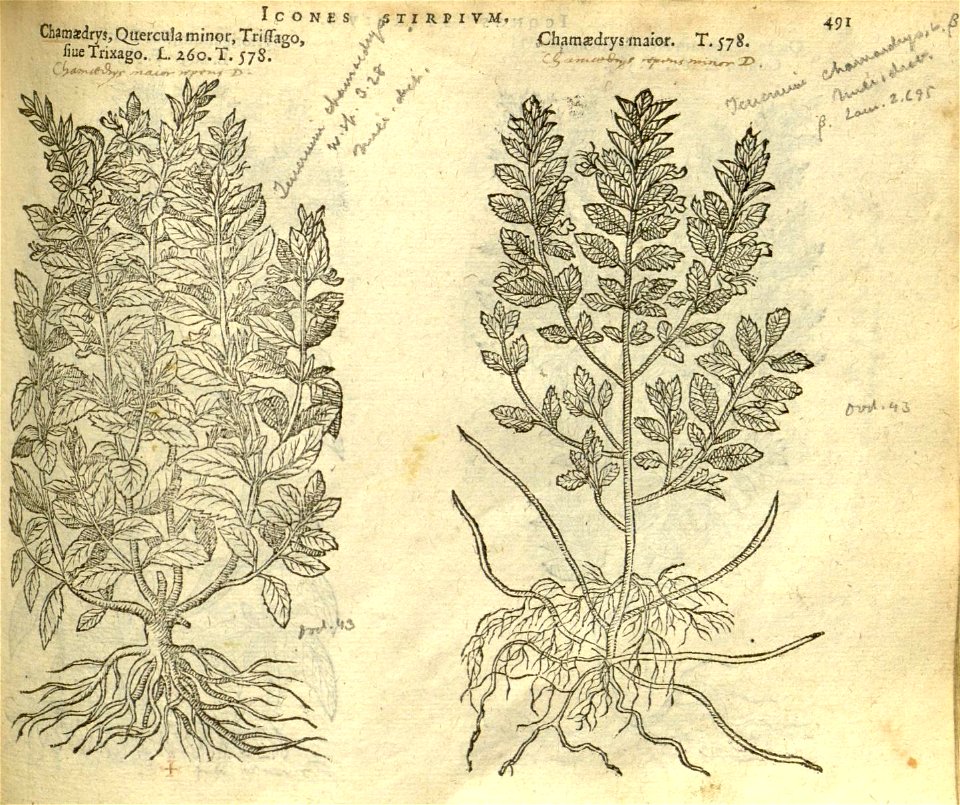 n497_w1150