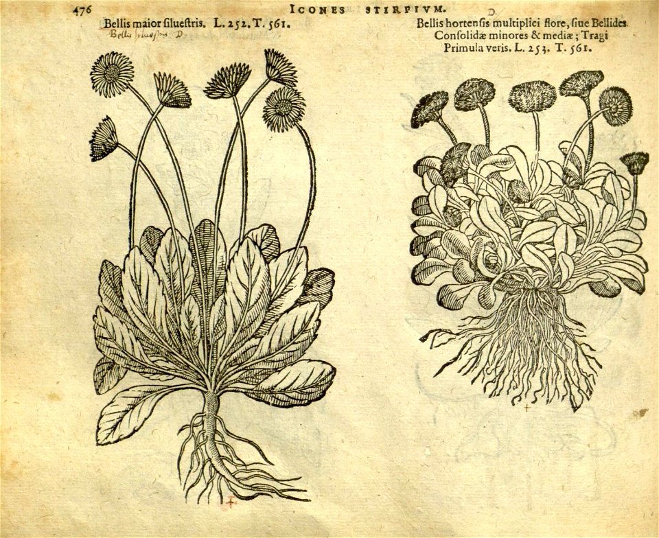 n482_w1150