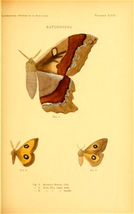 n122_w1150