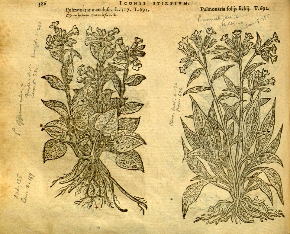 n592_w1150