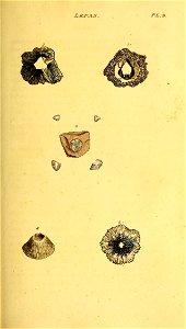 n158_w1150