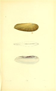 n316_w1150