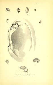 n406_w1150