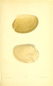 n286_w1150