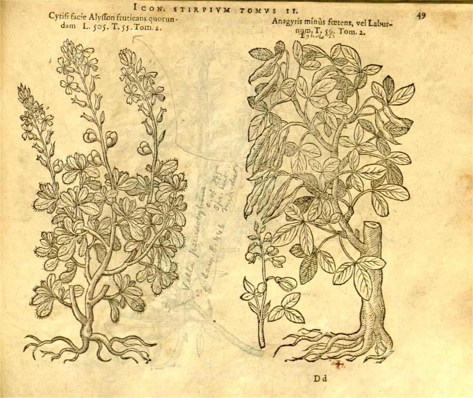 n871_w1150