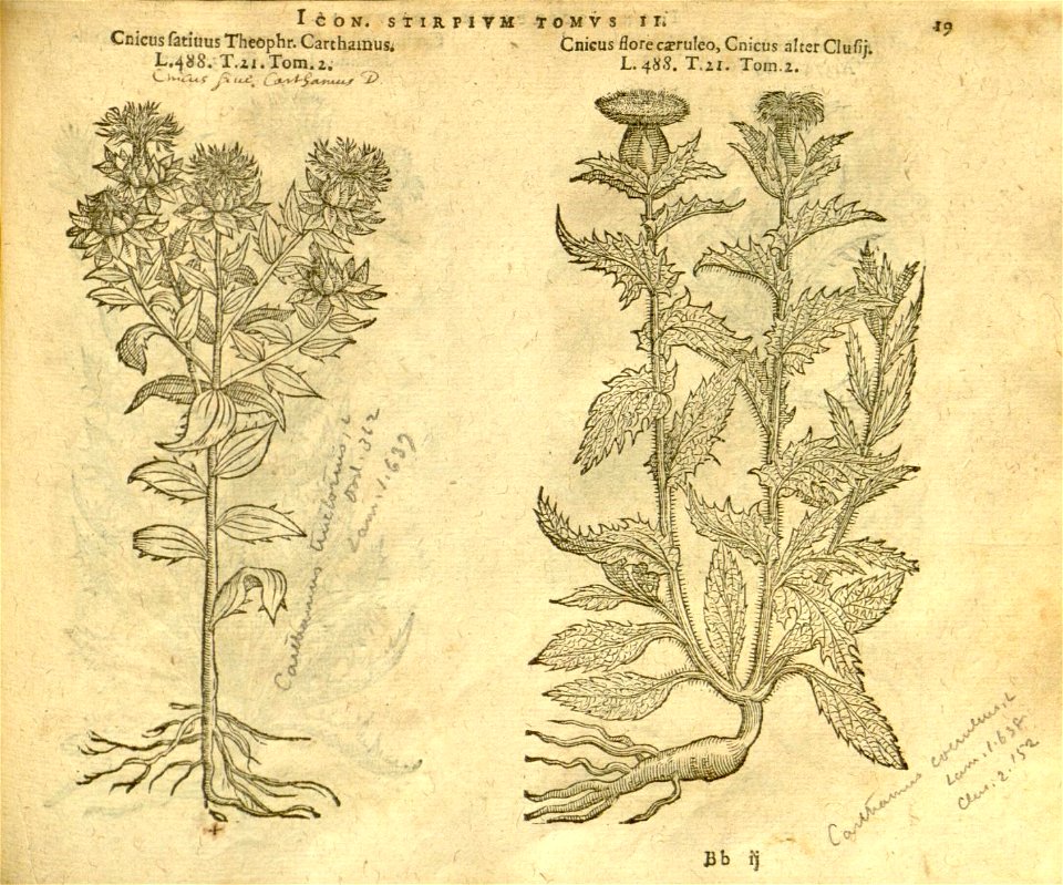 n841_w1150