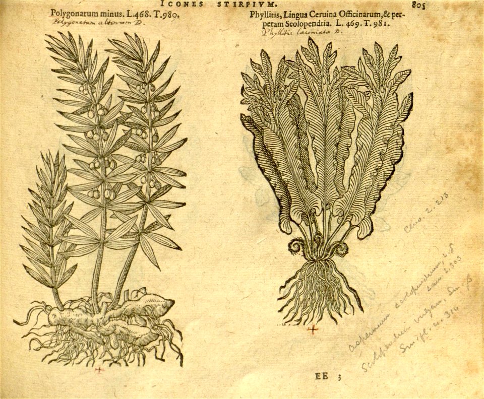 n811_w1150