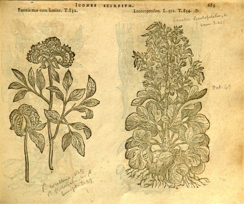 n691_w1150