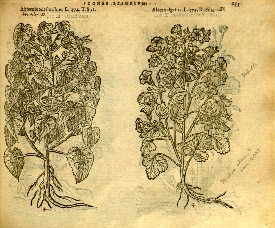 n661_w1150