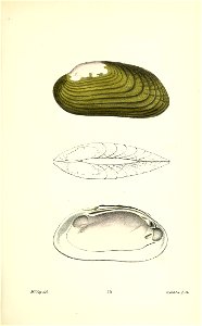n298_w1150