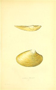 n386_w1150
