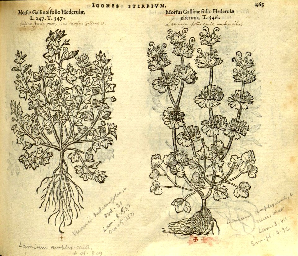n469_w1150
