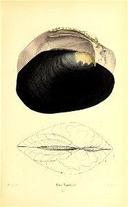 n354_w1150