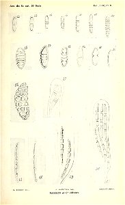 n98_w1150