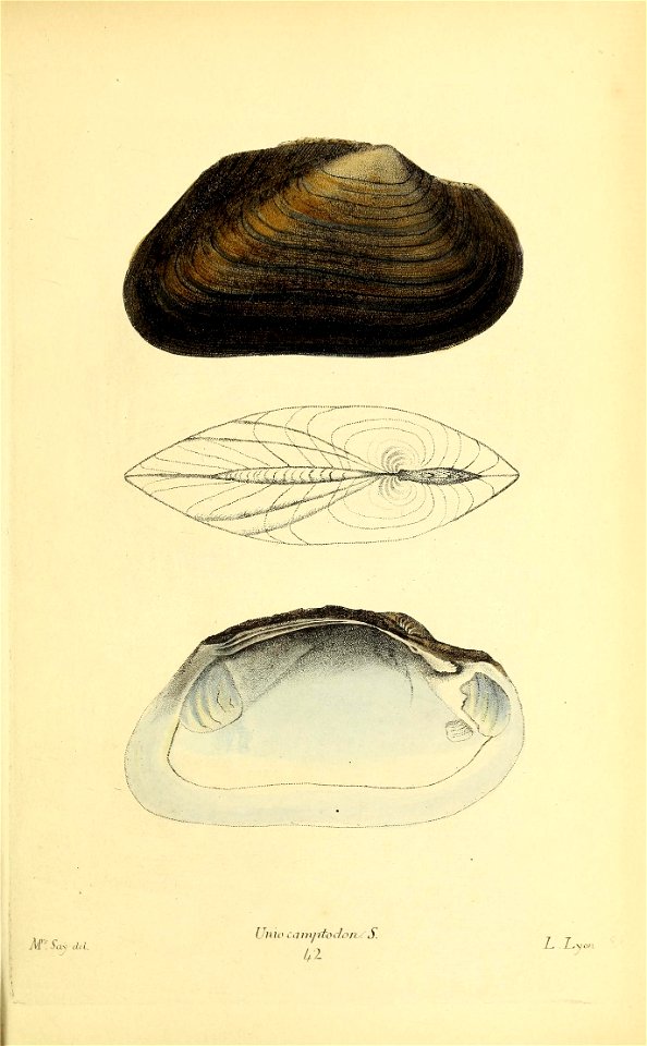 n352_w1150