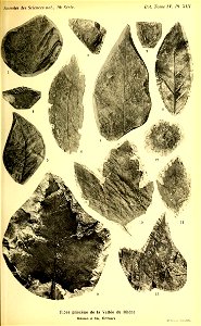 n328_w1150