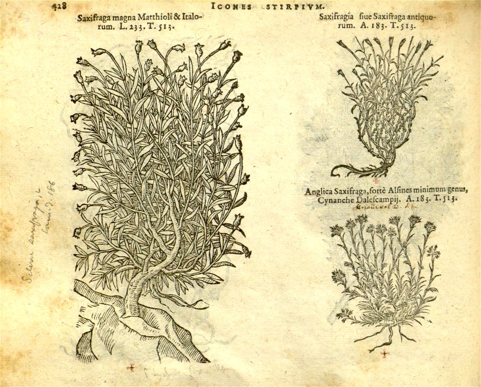 n434_w1150