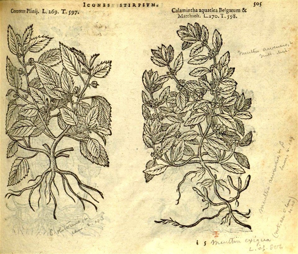 n511_w1150