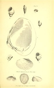 n408_w1150