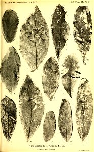 n322_w1150