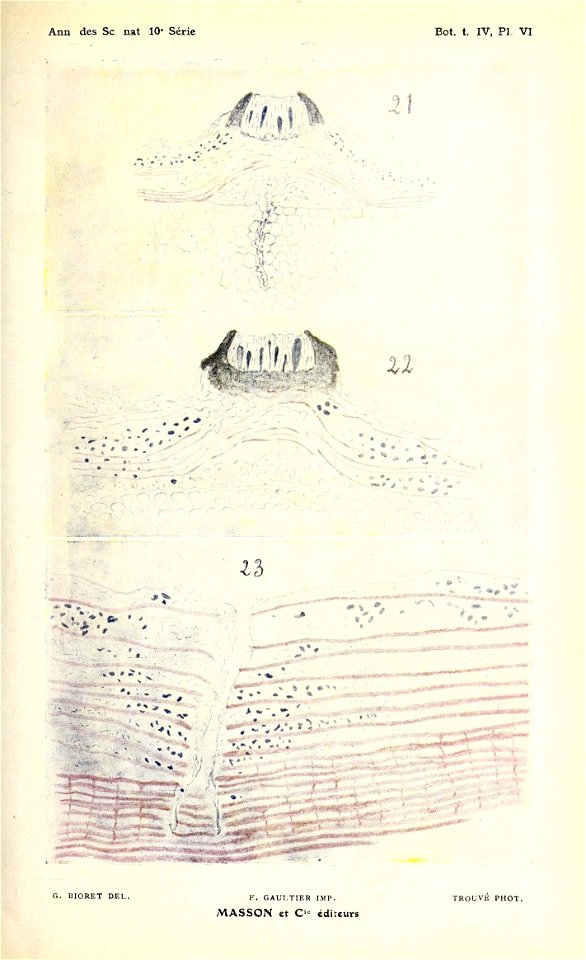 n90_w1150