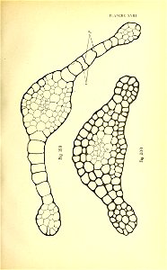 n198_w1150