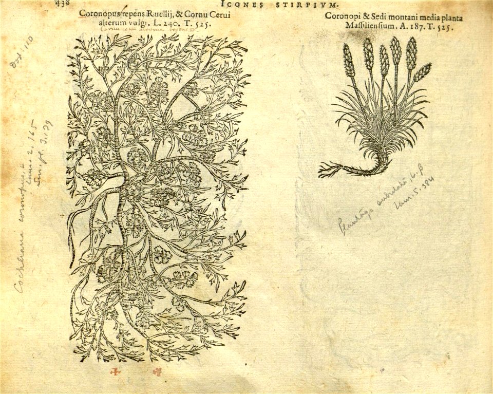 n444_w1150