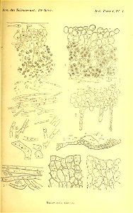 n152_w1150